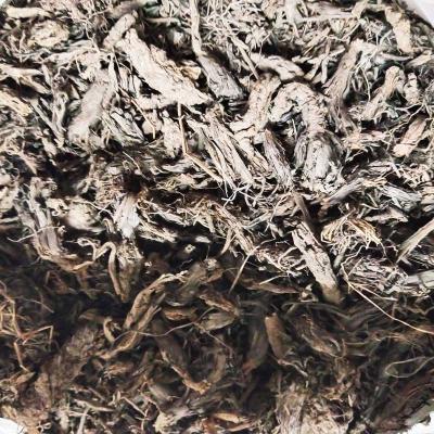 Jatamasi 100G – Pure Natural Herb for Pooja & Spiritual Use | Locate Us Store