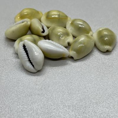 Small Size Cowrie Beads (Cowri/Kowdi) 11 No.– Natural Shell Beads for Pooja, Decoration & Traditional Crafts