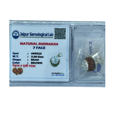 Authentic 7-Face (Saptamukhi) Rudraksha – Lab Tested Sacred Seed for Prosperity and Good Fortune