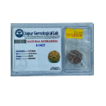 Authentic 8-Faced (Ashtamukhi) Rudraksha – Lab Tested Sacred Seed for Success and Obstacle Removal
