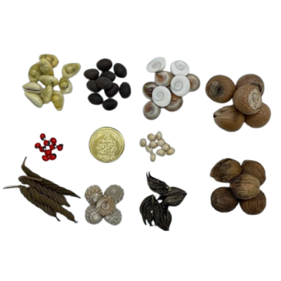 Premium 10-Piece Divine Lakshmi Pooja Kit