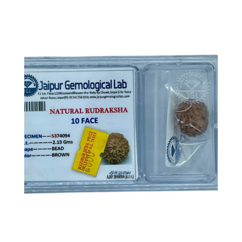 Authentic 10 Mukhi Rudraksha – Lab Tested Sacred Seed for Universal Protection and Peace
